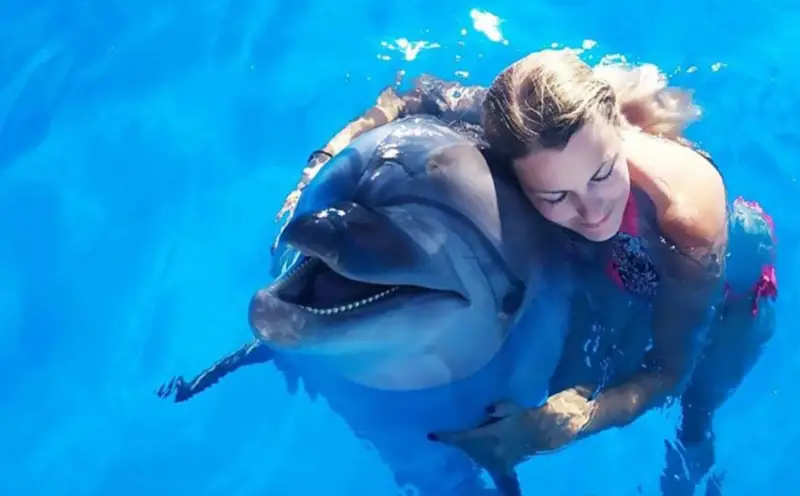 Nager avec dauphins 6
