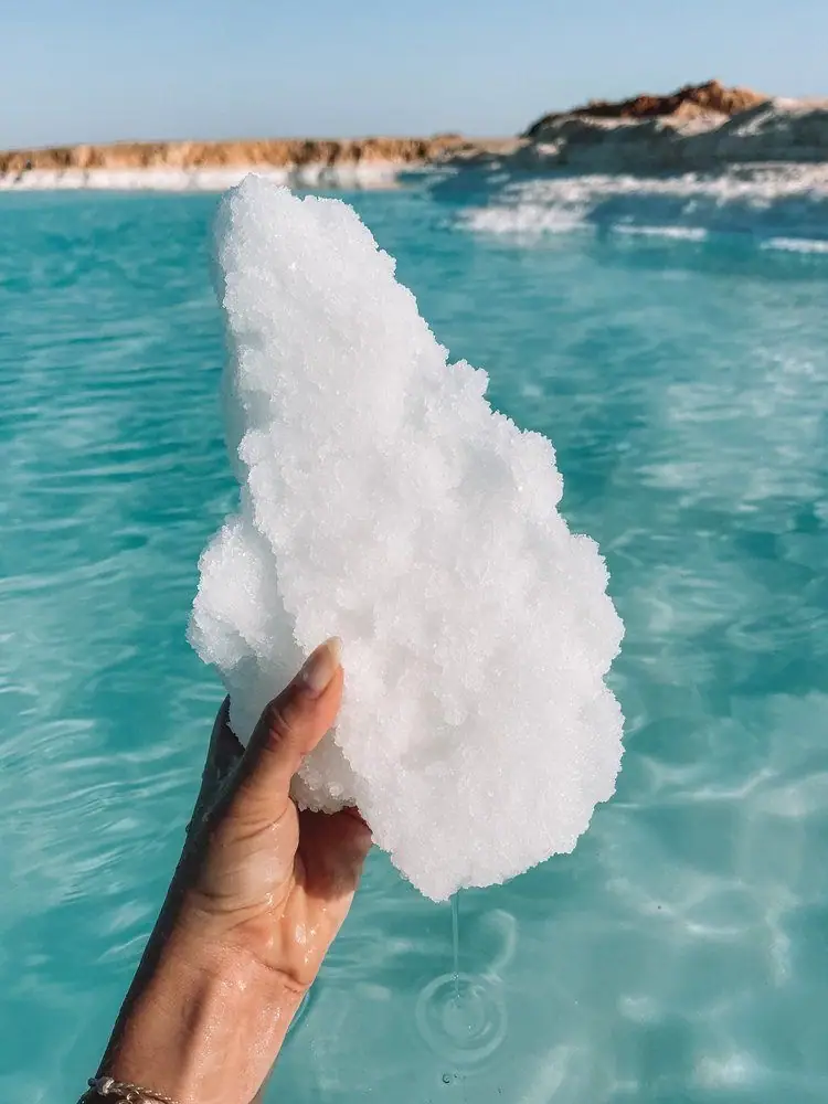 Siwa 12