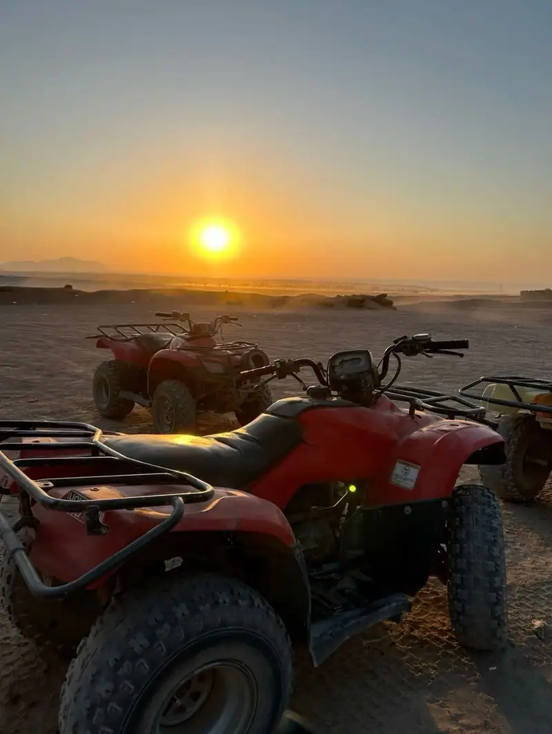 Safari Quad 4