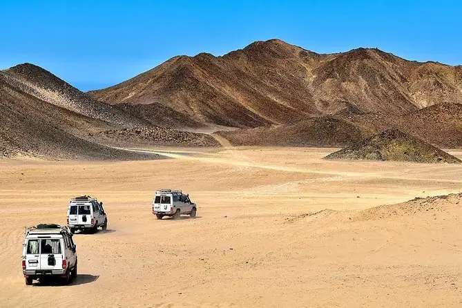 Super Safari 14