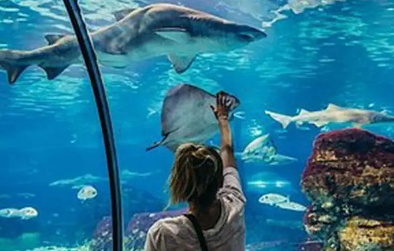 Aquarium Hurghada 4