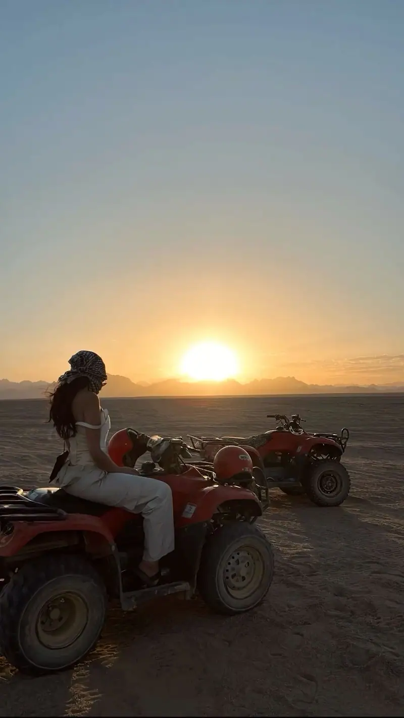 Safari Quad 6