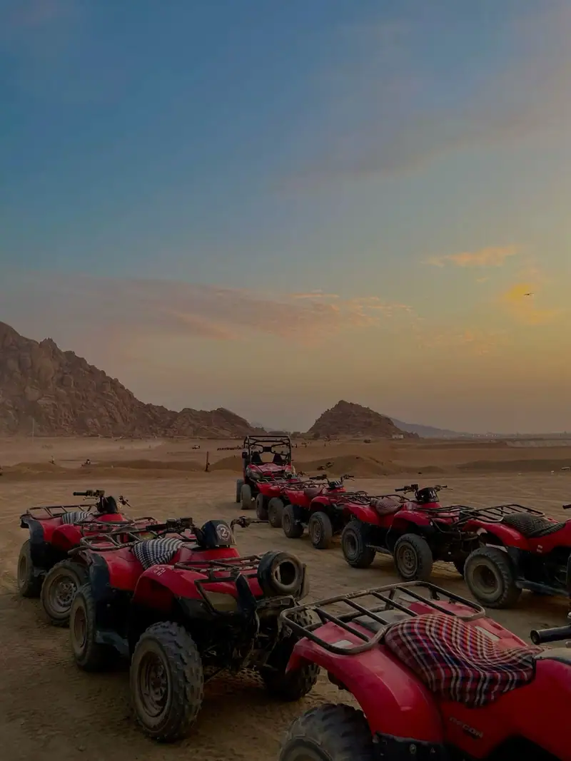 Safari Quad 3