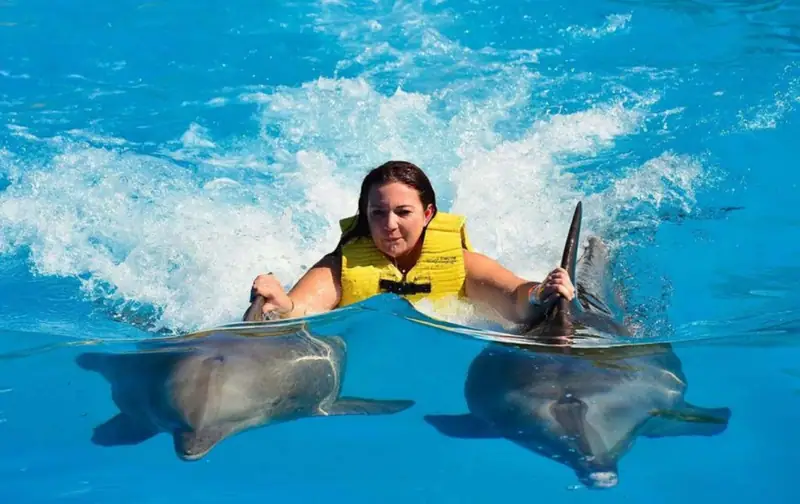 Nager avec dauphins 3