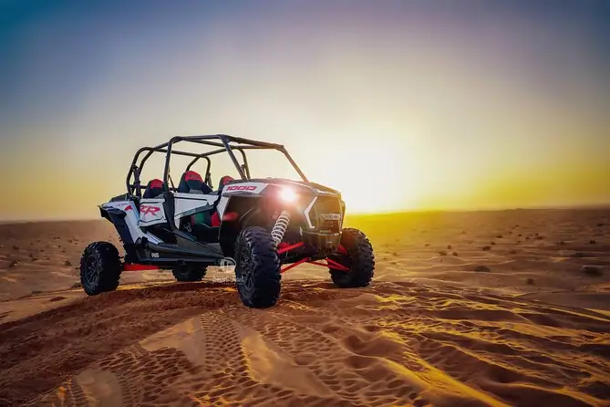 Buggy Safari 4