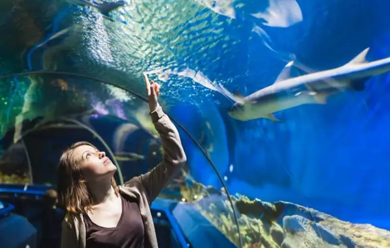 Aquarium Hurghada 5