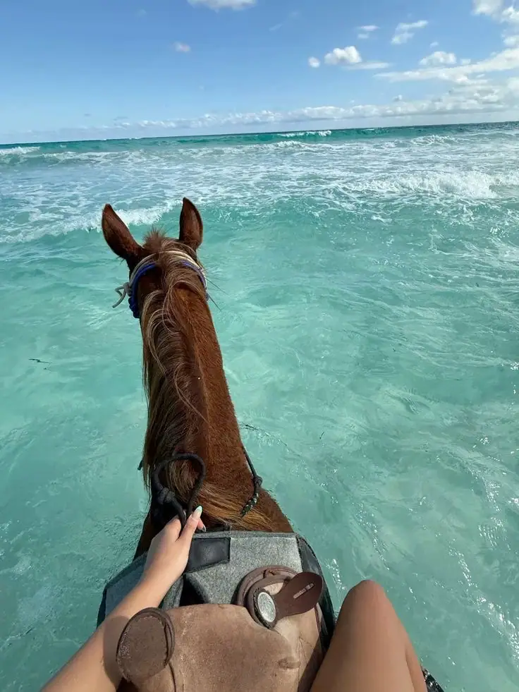 Balade à cheval 4