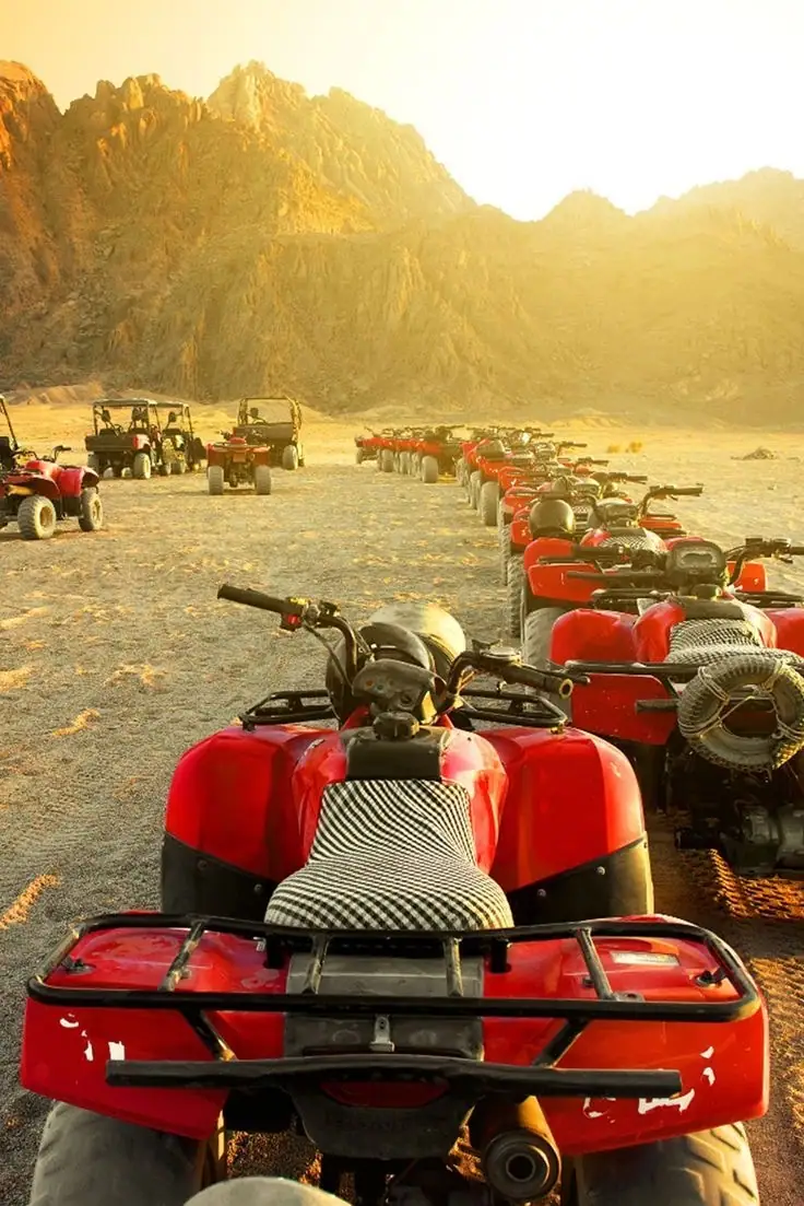 Safari Quad 2