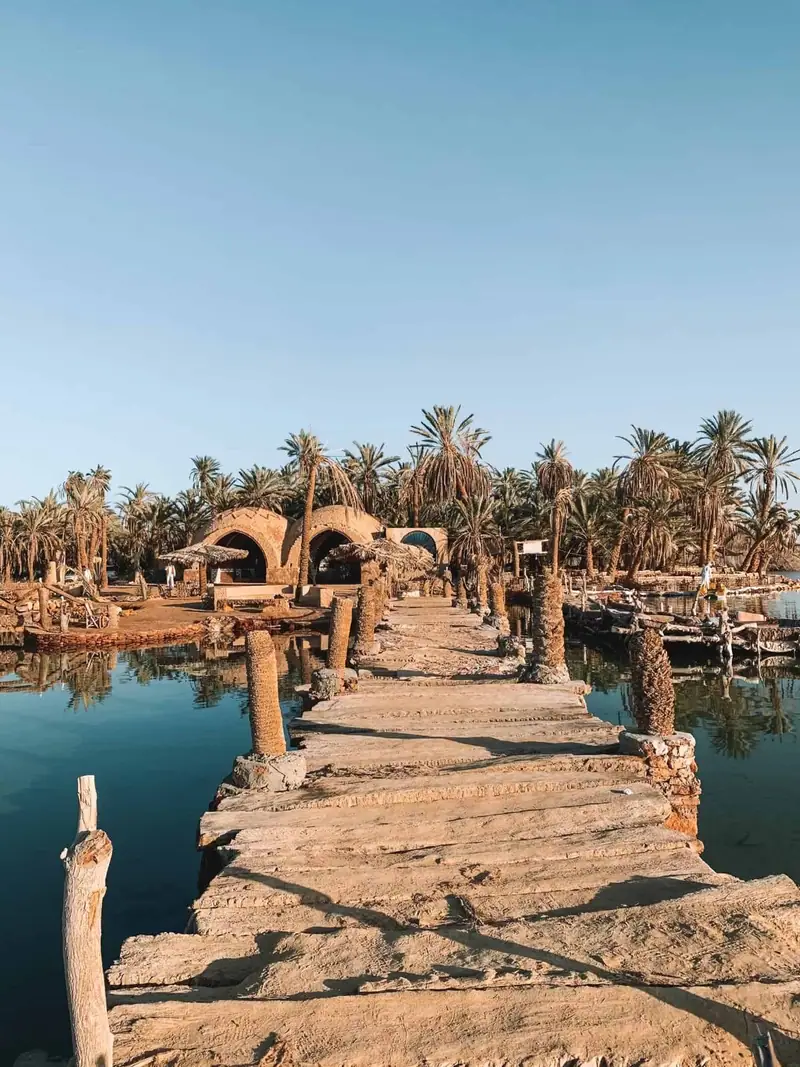 Siwa 9