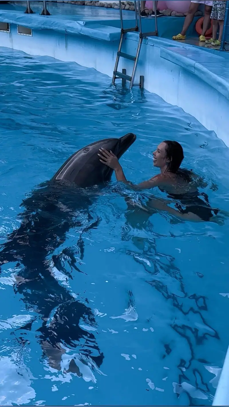 Nager avec dauphins 7