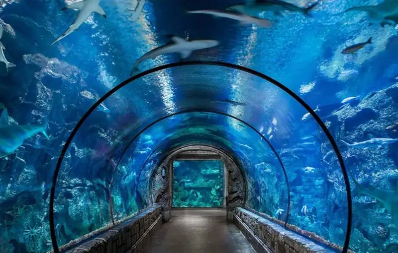 Flyer von Aquarium Hurghada