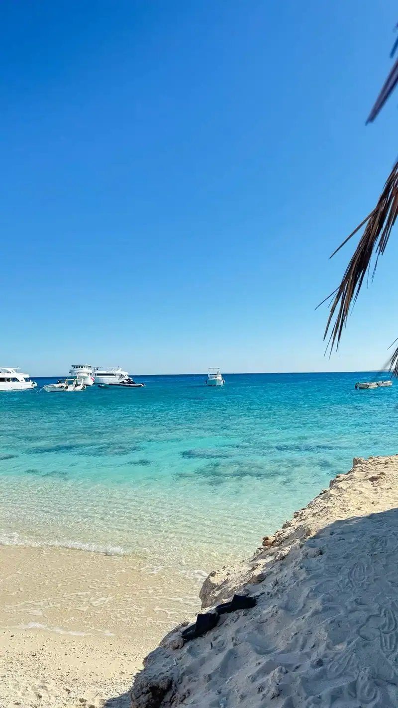 Paradise Island 5