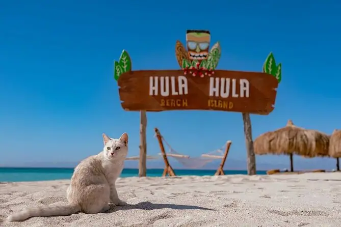 Flyer von Hula Hula Insel