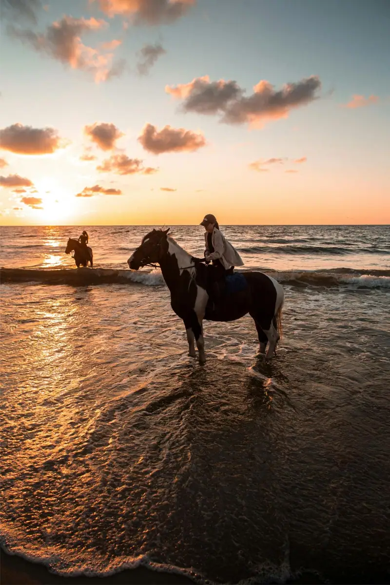 Balade à cheval 2