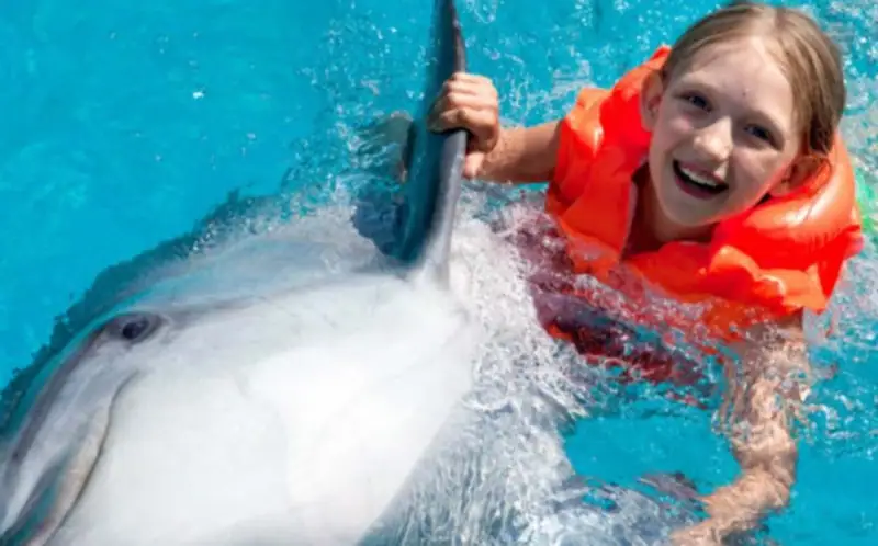 Nager avec dauphins 4