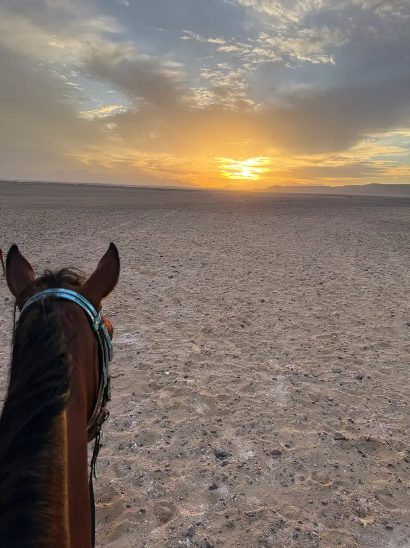 Balade à cheval 3