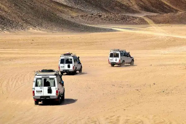 Super Safari 13
