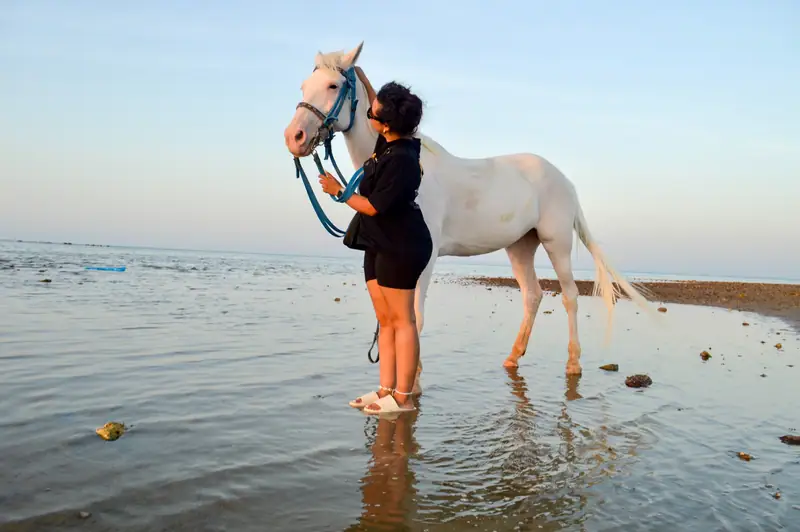 Balade à cheval 8