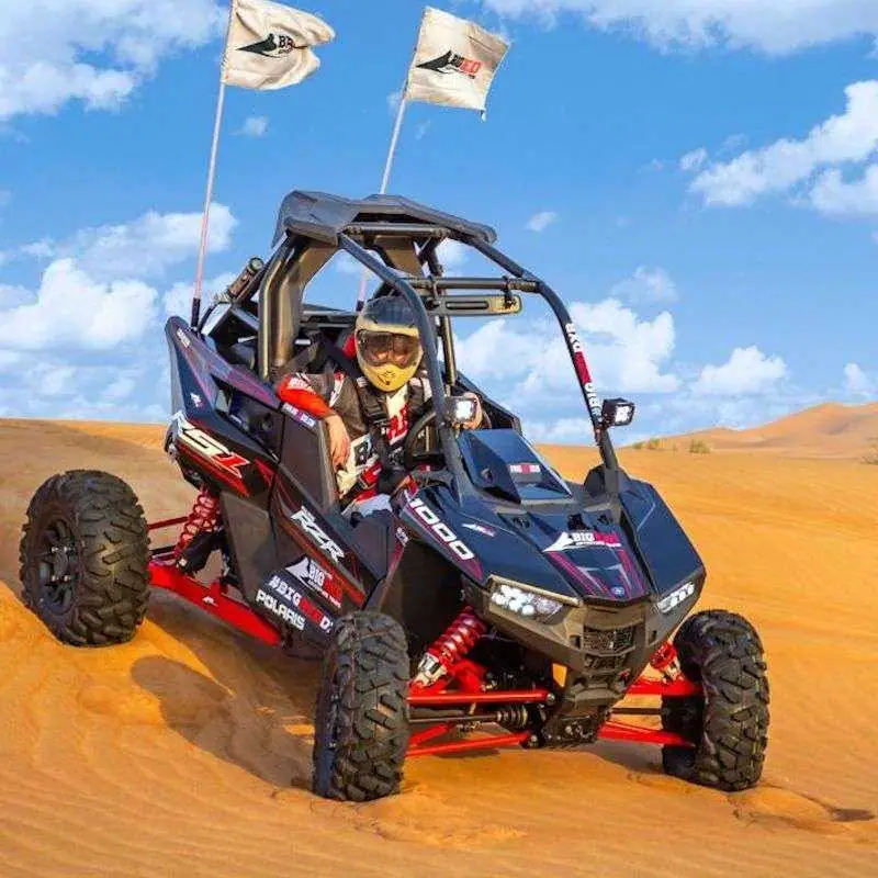 Buggy Safari 2