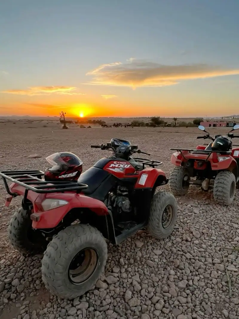 Flyer von Safari Quad