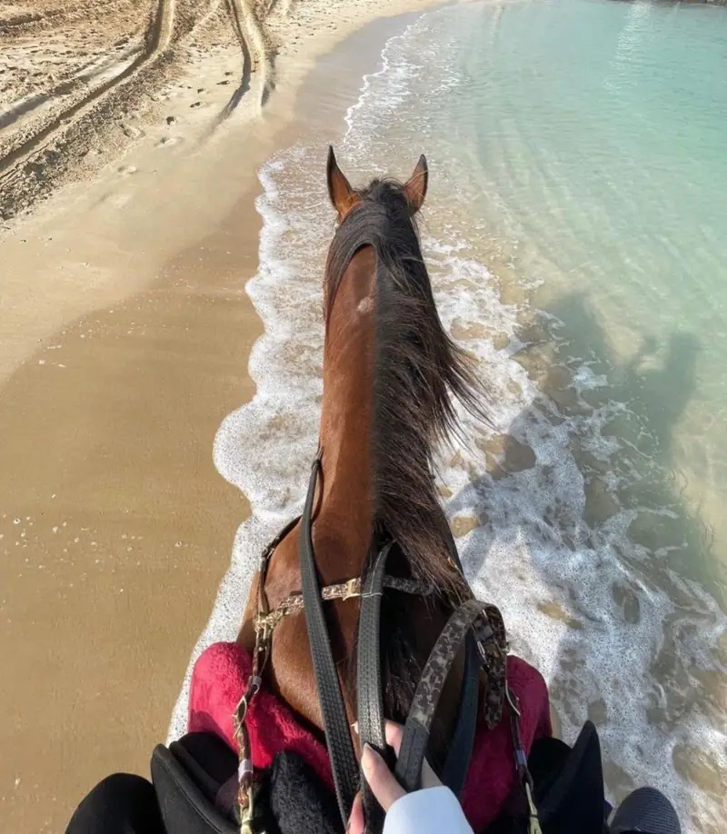 Balade à cheval 5