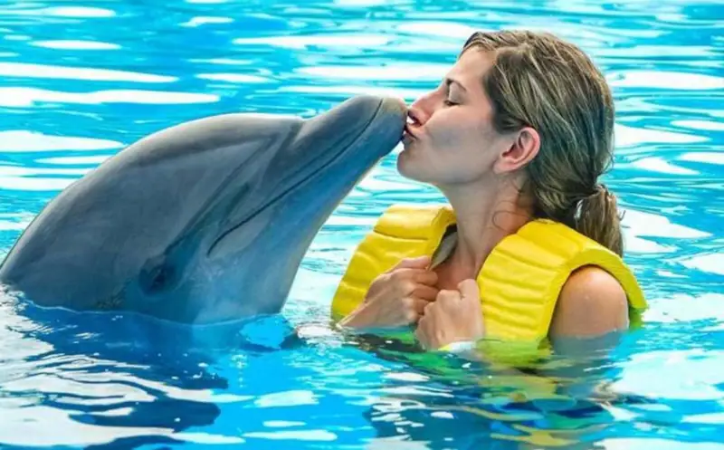 Nager avec dauphins 2